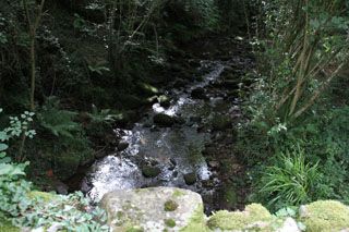 IMG 5850