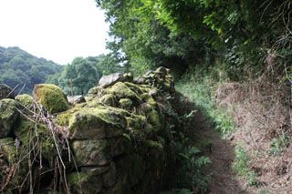 IMG 5853