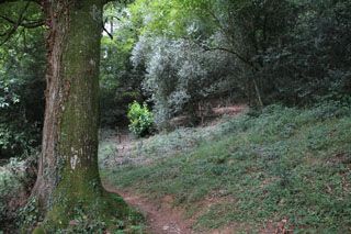 IMG 5868