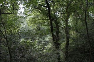 IMG 5874