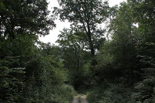 IMG 5879