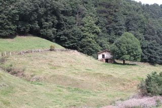 IMG 5905