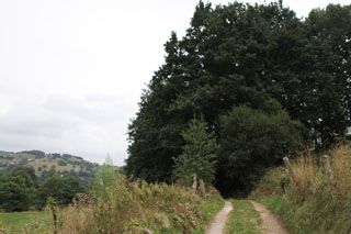 IMG 5932