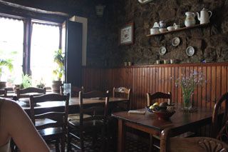casa_terio_001