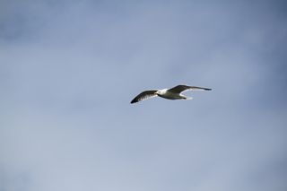1006 IMG 3024