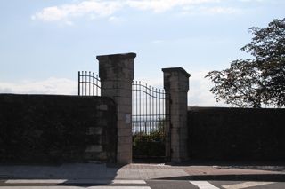 IMG 7014