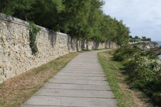 IMG 7024