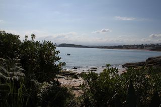 IMG 7036