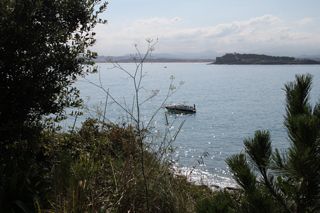 IMG 7039