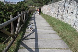 IMG 7041