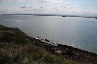 IMG 7046