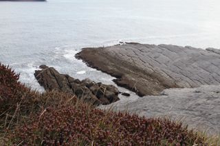 IMG 7054