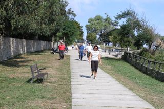 IMG 7097