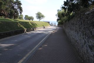 IMG 7100