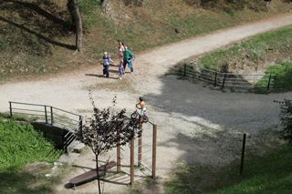 IMG 7148