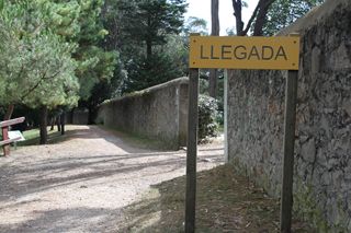 IMG 7152