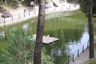 IMG 7156