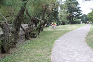 IMG 7166