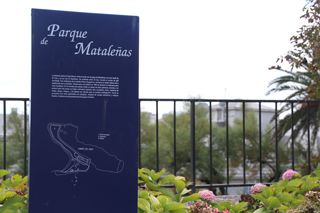 IMG 7178