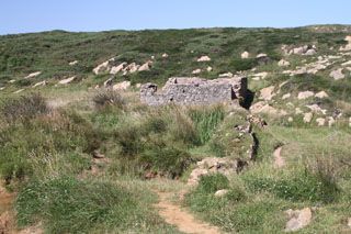 bosque liencres 020