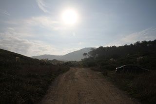 bosque liencres 020 02
