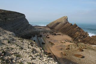 bosque liencres 041