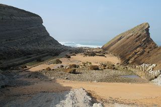 bosque liencres 042