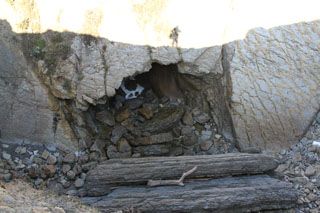 bosque liencres 052