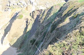 bosque liencres 069