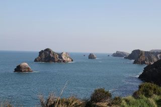 bosque liencres 071