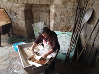 haciendo pan castroverde 1005