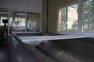 oso bodega 002