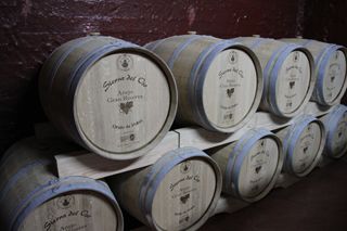 oso bodega 003