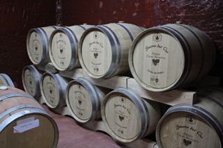 oso bodega 004
