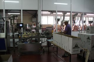 oso bodega 004