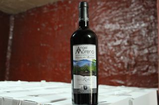 oso bodega 004