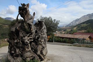 oso instala 003