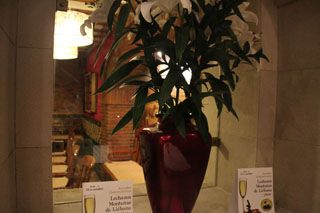 2012 10 segoviano sensaciones 003