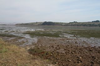 IMG 8066