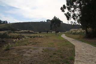IMG 8067