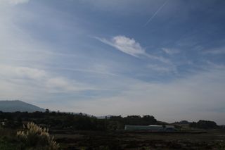 IMG 8096