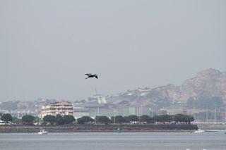 IMG 8144