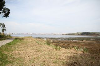 IMG 8197