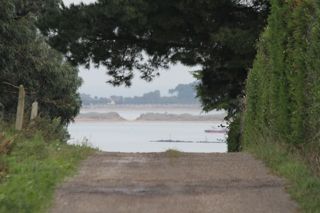 IMG 8890