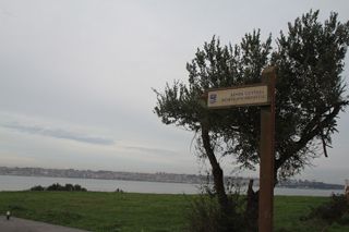 IMG 8891