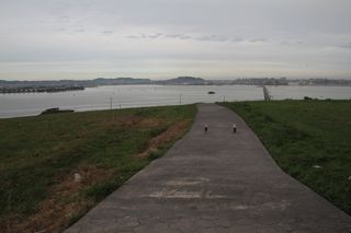 IMG 8901