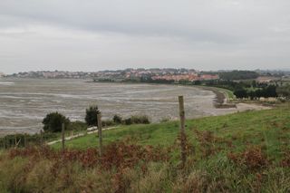 IMG 8954