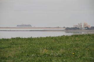 IMG 8955