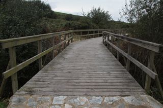IMG 9000