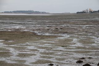IMG 9007